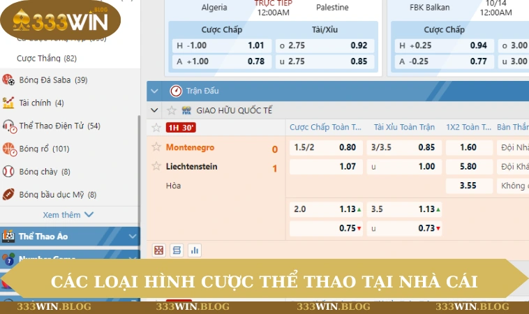 Thể thao 333WIN 2 Các loại hình cược thể thao tại nhà cái
