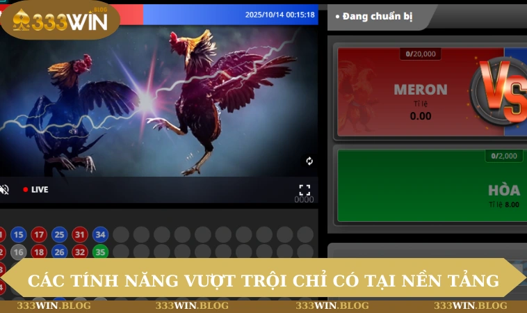 Đá gà 333WIN 2 Các tính năng vượt trội chỉ có tại nền tảng