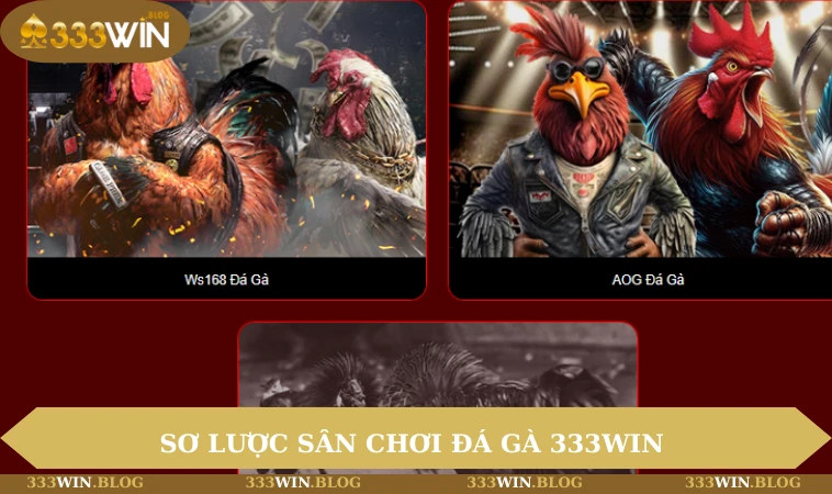 Đá gà 333WIN 1 Sơ lược sân chơi đá gà 333WIN