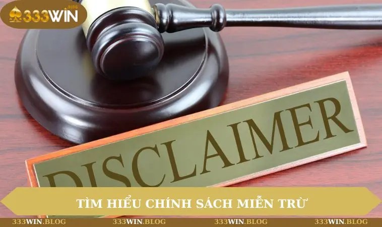 Miễn trừ trách nhiệm 333WIN 1 Tìm hiểu chính sách miễn trừ