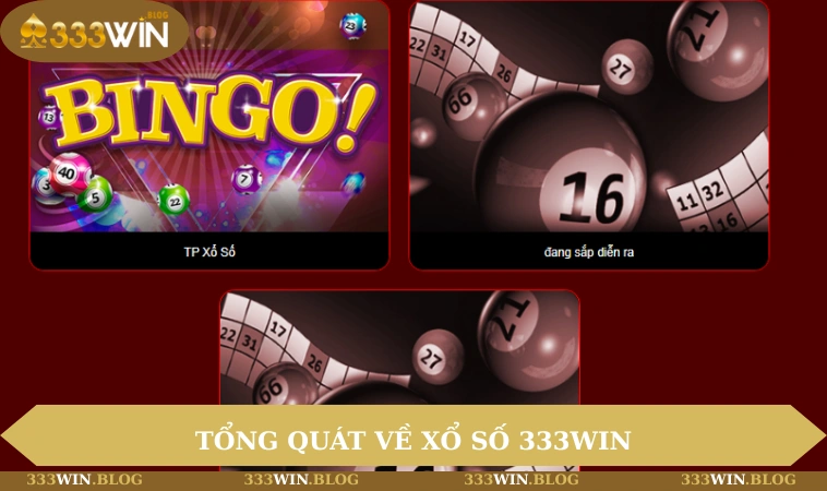 Xổ số 333WIN 1 Tổng quát về xổ số 333WIN